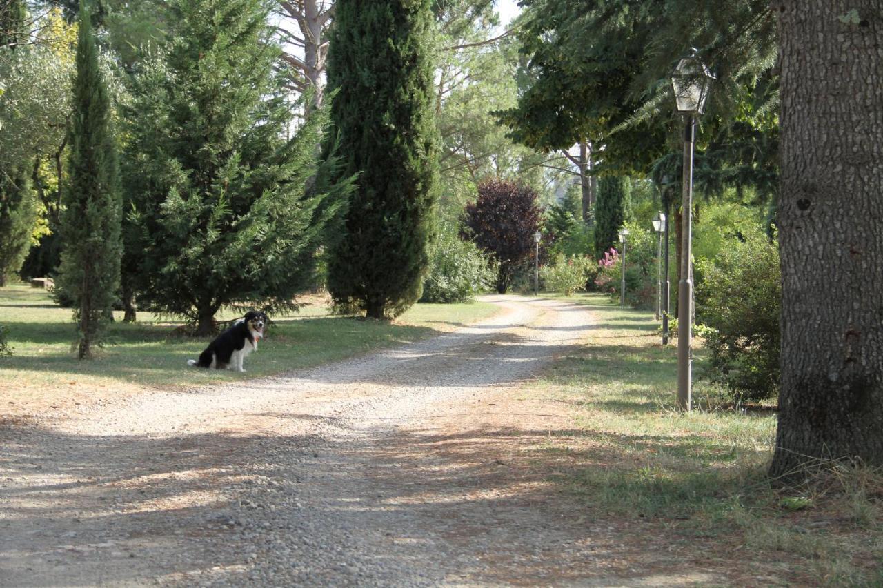 Villa Rigacci Hotel Reggello Exterior foto